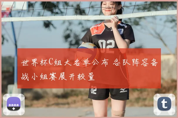 世界杯C组大名单公布 各队阵容备战小组赛展开较量