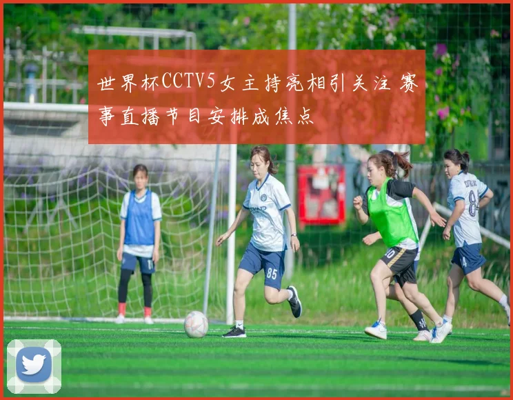 世界杯CCTV5女主持亮相引关注 赛事直播节目安排成焦点