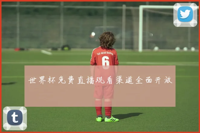 世界杯免费直播观看渠道全面开放
